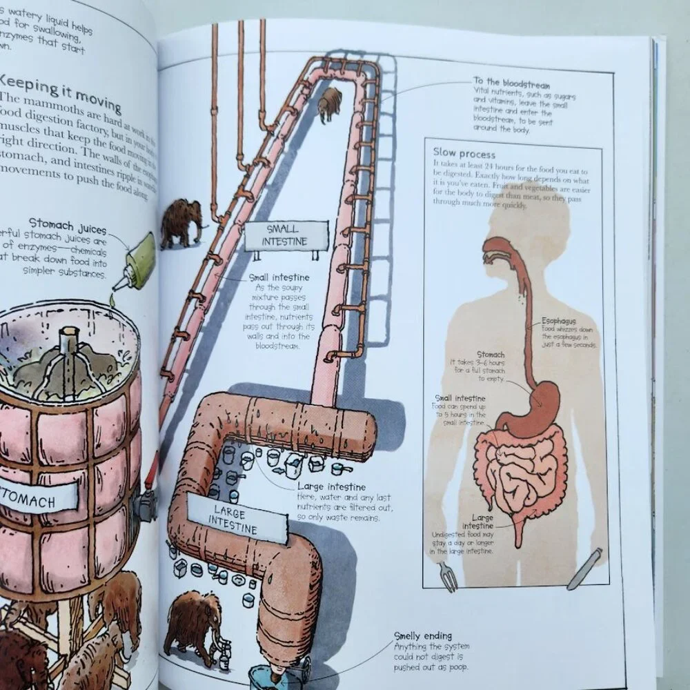 dk mammoth science